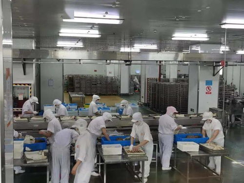 為食品生產(chǎn)栓牢 安全鎖 ,上海推進(jìn)haccp體系100 全覆蓋
