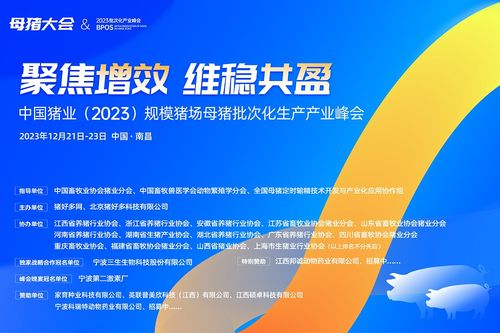 一夜?jié)q五毛 11月17日豬價(jià) 集體騰飛 ,市場(chǎng)看漲情緒強(qiáng)烈